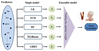 A stacking ensemble model for predicting the occurrence of carotid atherosclerosis